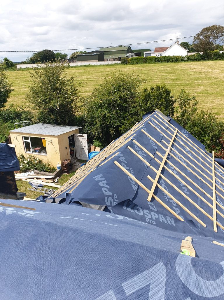 65285245_2179407882176816_6206679899697053696_n